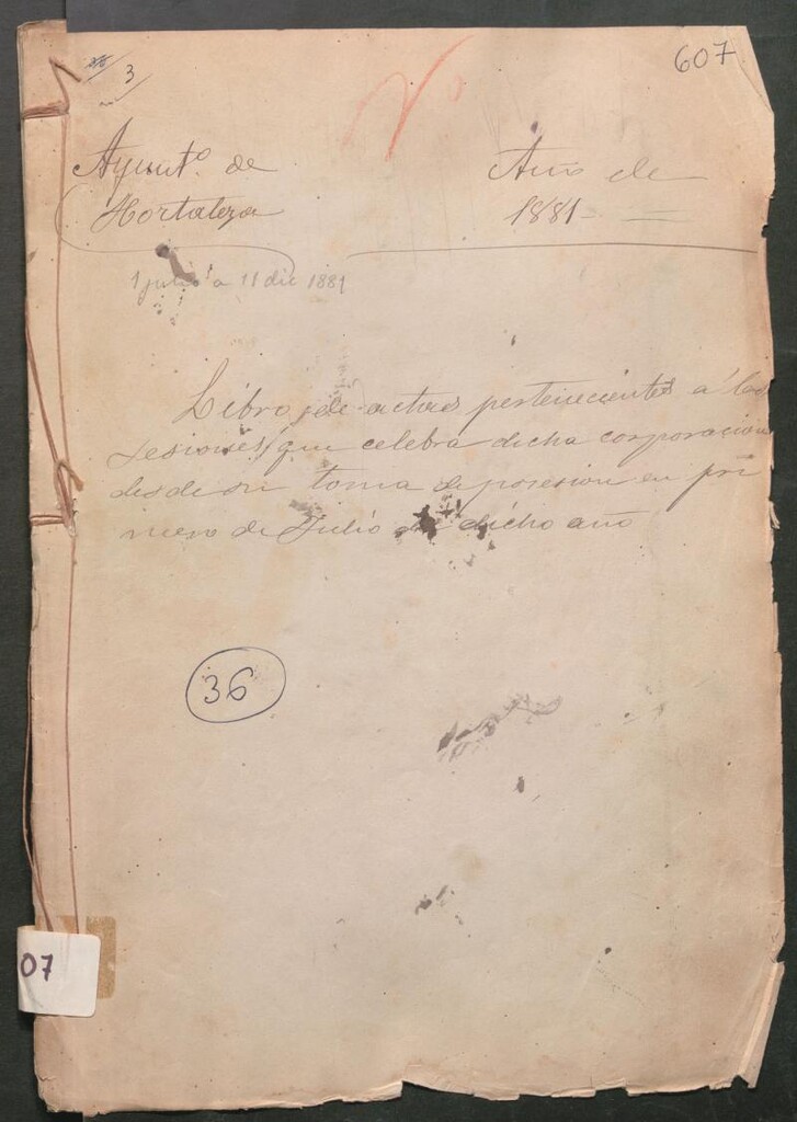 Miniatura de Actas y acuerdos del ayuntamiento de Hortaleza de 1881. Libro 607.