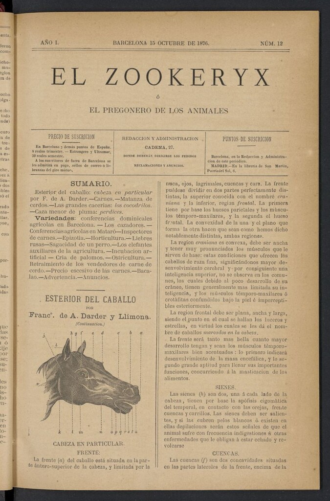 Miniatura de El Zookeryx del 15 de octubre de 1876, nº 12