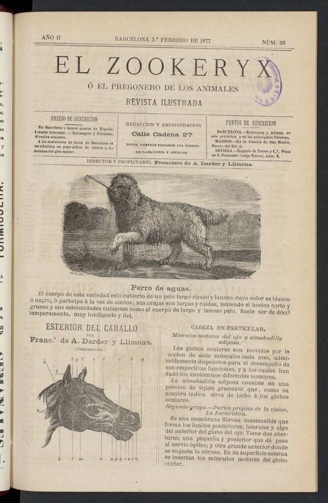 Miniatura de El Zookeryx del 1 de febrero de 1877, nº 20