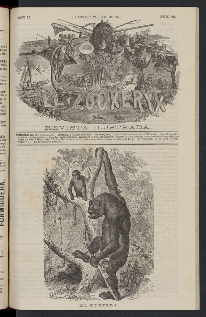 Miniatura de El Zookeryx del 24 de julio de 1877, nº 40