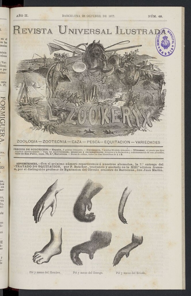Miniatura de El Zookeryx del 28 de octubre de 1877, nº 48