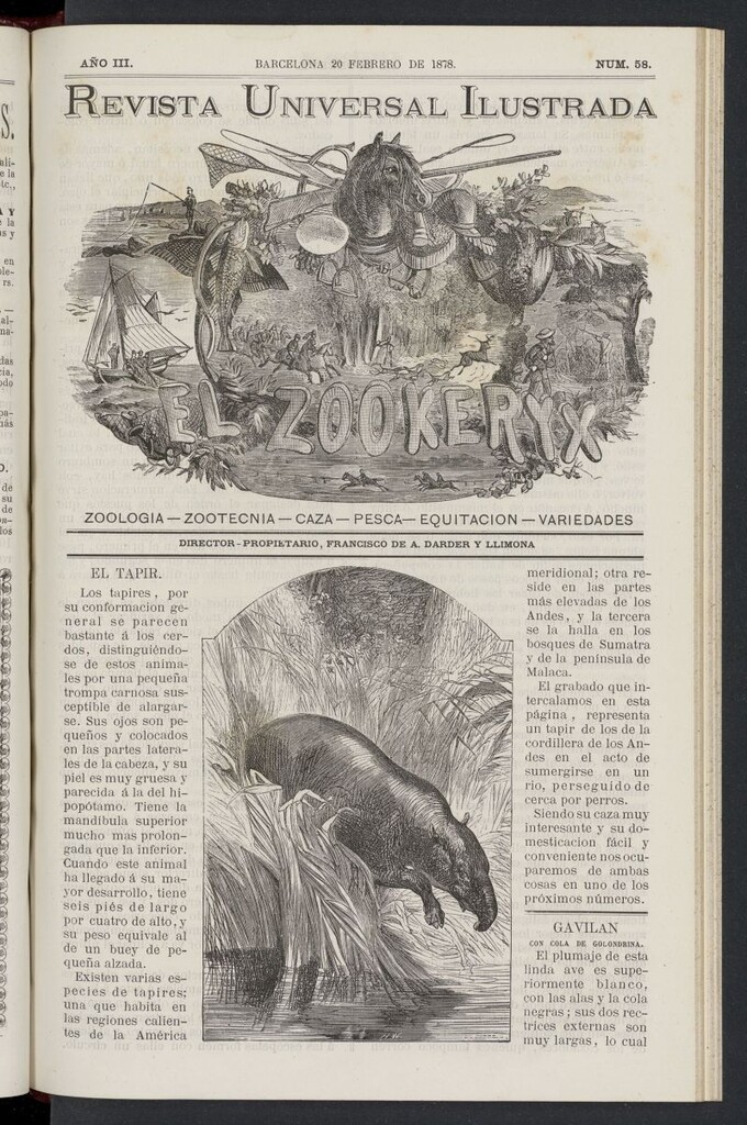 Miniatura de El Zookeryx del 20 de febrero de 1878, nº 58