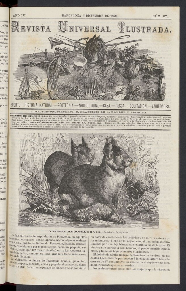 Miniatura de El Zookeryx del 3 de diciembre de 1878, nº 87