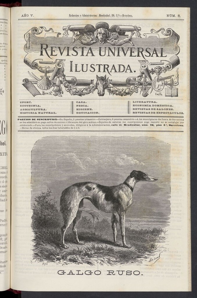 Miniatura de El Zookeryx de 1880, nº 8