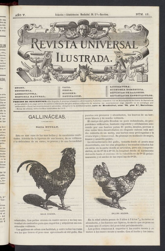 Miniatura de El Zookeryx de 1880, nº 12