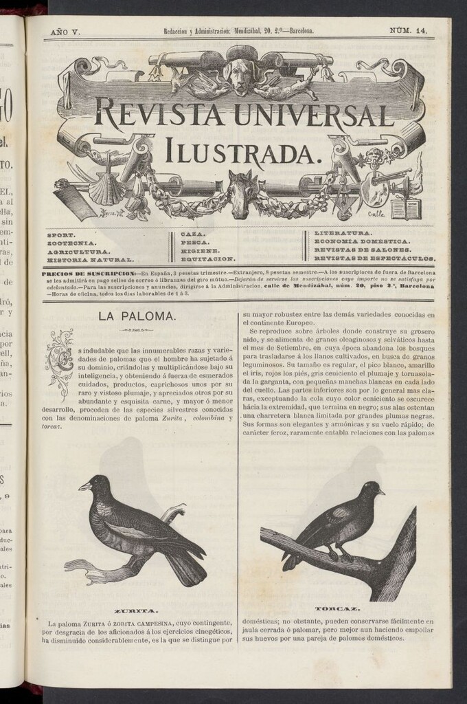 Miniatura de El Zookeryx de 1880, nº 14