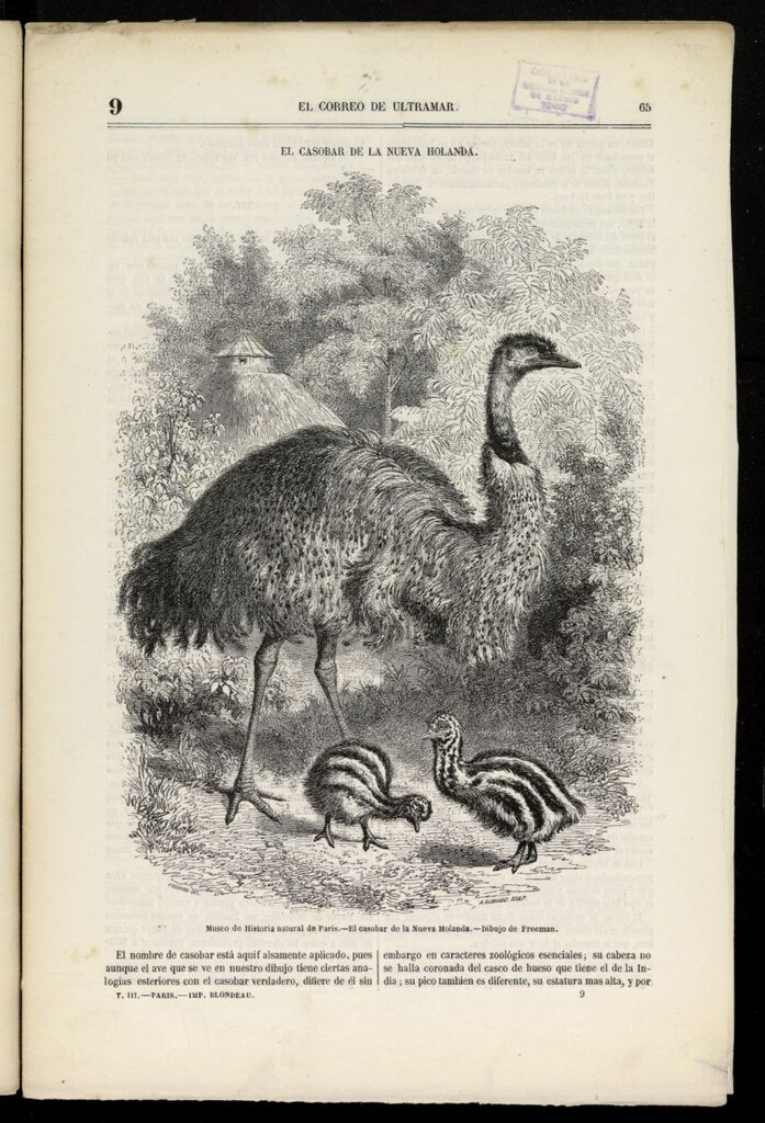 Miniatura de Museo Ilustrado: literatura, ciencias, artes, geografía, viajes, historia de [1852], nº 9