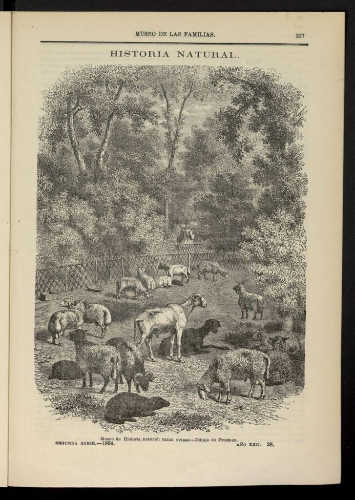 Miniatura de Museo de las familias: periódico mensual segunda serie de 1864, nº 28