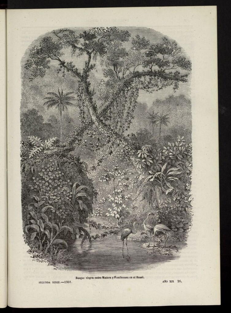 Miniatura de Museo de las familias: periódico mensual segunda serie de 1861, nº 26