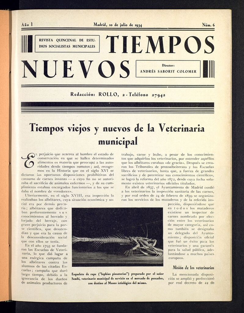 Miniatura de Tiempos Nuevos (Madrid. 1934) del 10 de julio de 1934