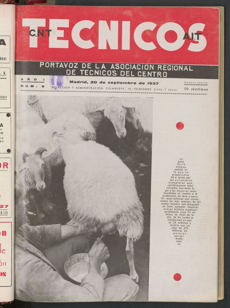 Miniatura de Técnicos : portavoz del Sindicato Único de Técnicos, C.N.T.-A.I.T. del 20 de septiembre de 1937