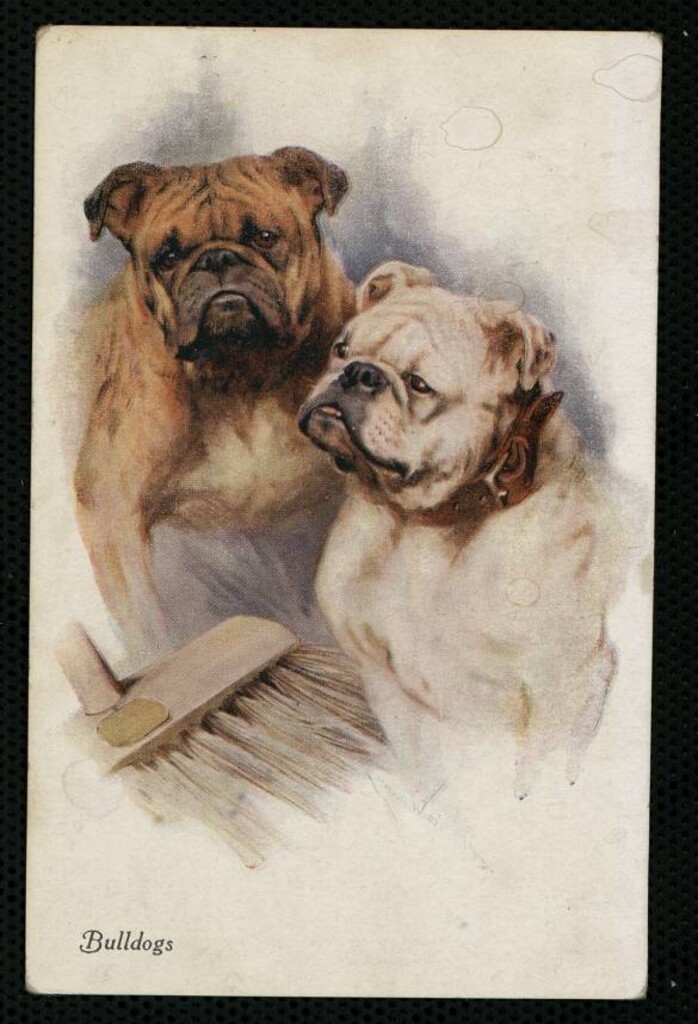 Miniatura de Bulldogs