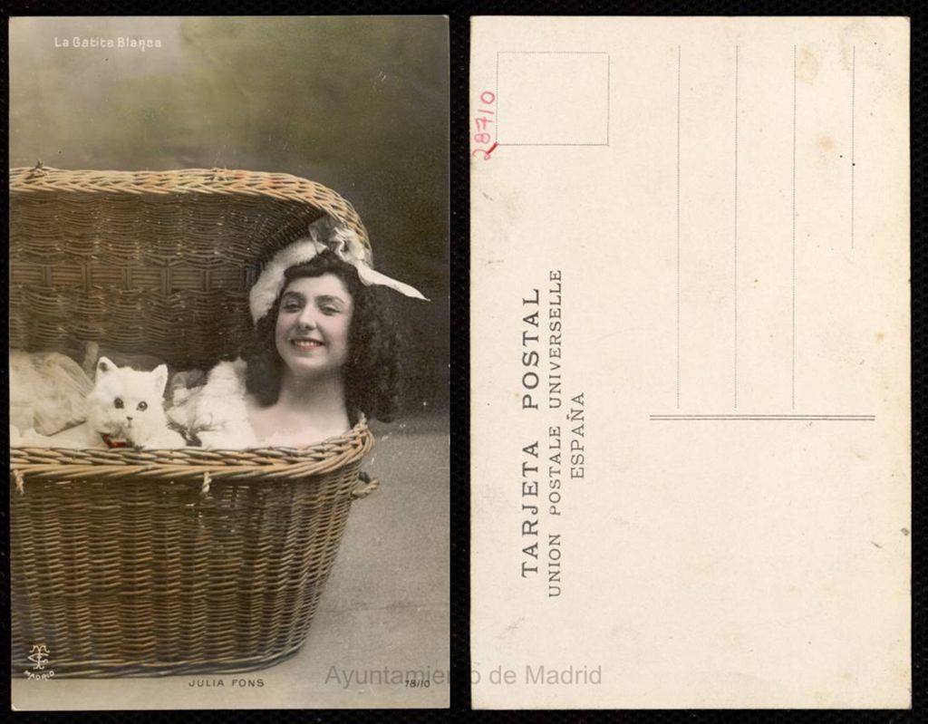 Miniatura de Julia Fons representando "La gatita blanca"
