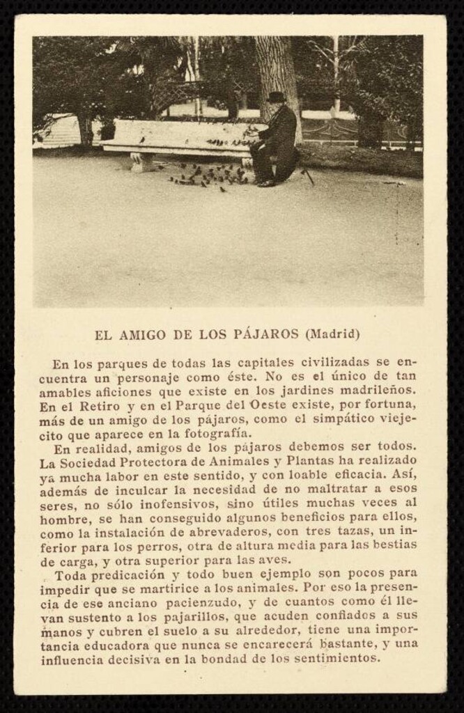 Miniatura de El amigo de los pájaros