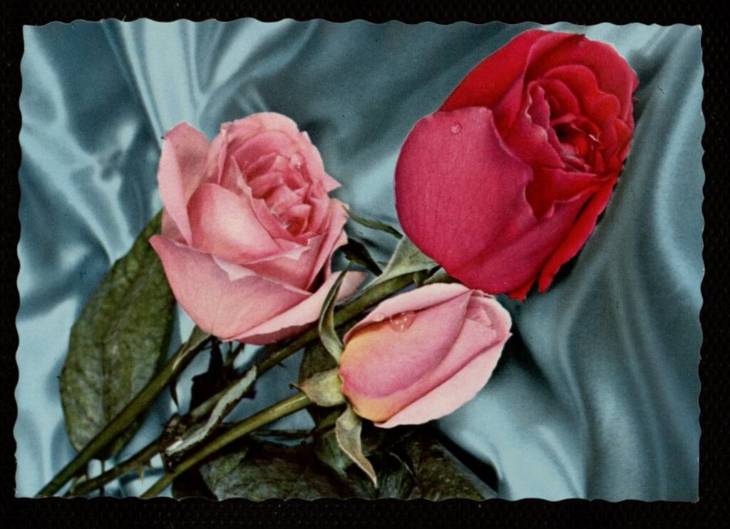 Miniatura de Rosas