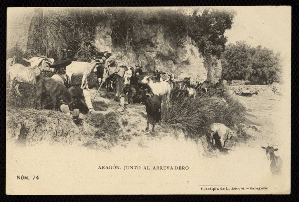 Miniatura de Aragón. Junto al Abrevadero
