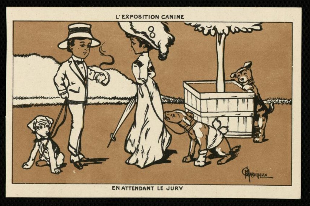 Miniatura de L´expositio canine