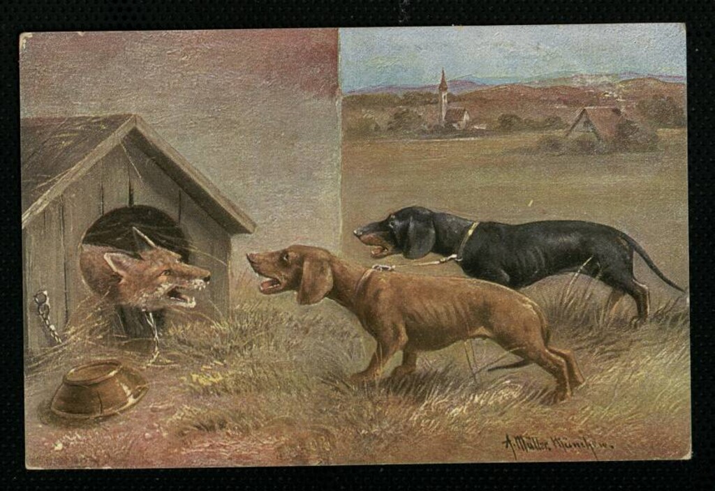 Miniatura de Perros y zorro