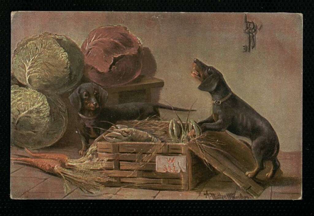 Miniatura de Perros junto a coles