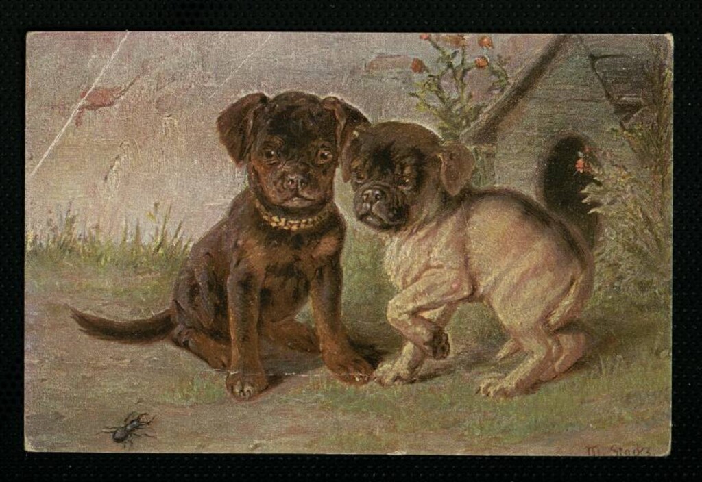 Miniatura de Dos perritos