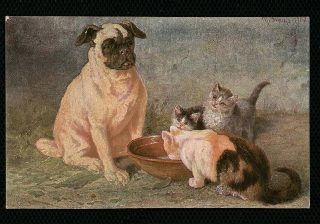 Miniatura de Perros robando un pollo