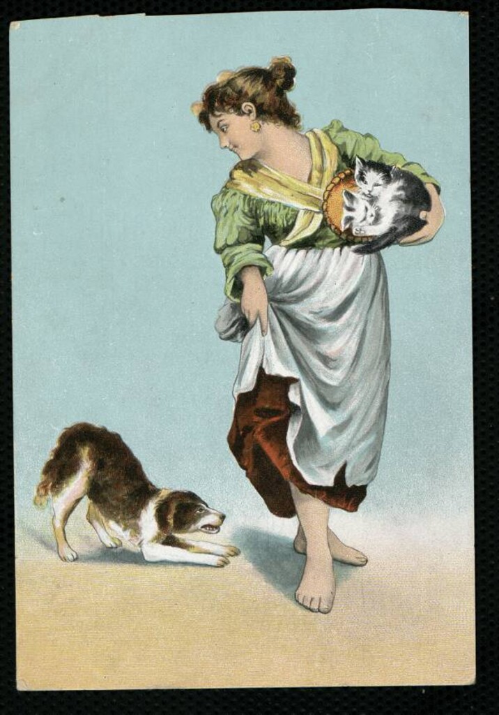 Miniatura de Muchacha con perro y gatos