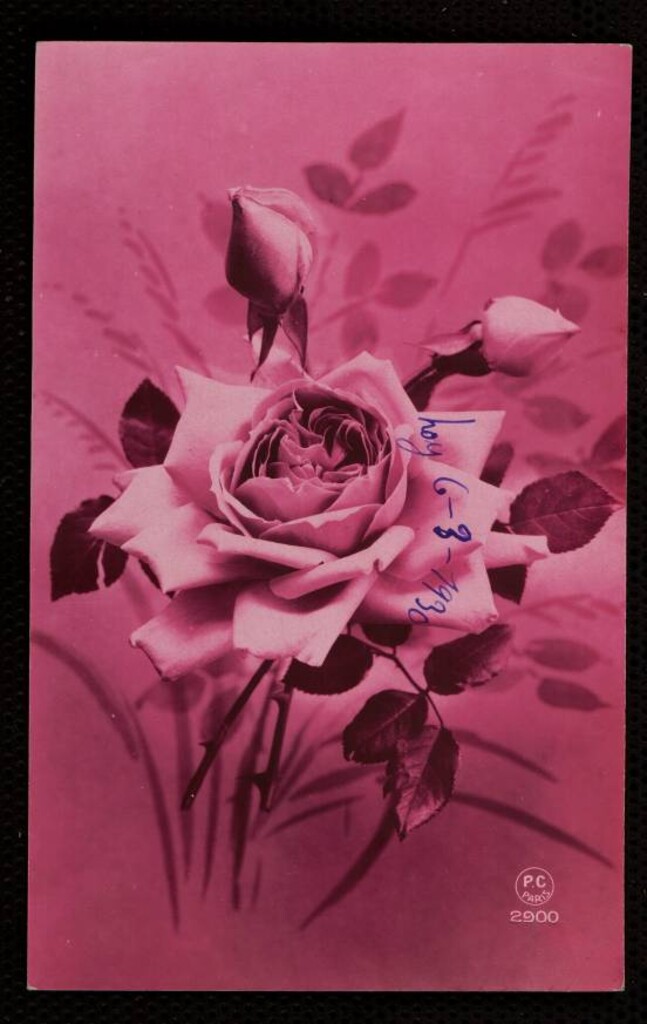 Miniatura de Rosas