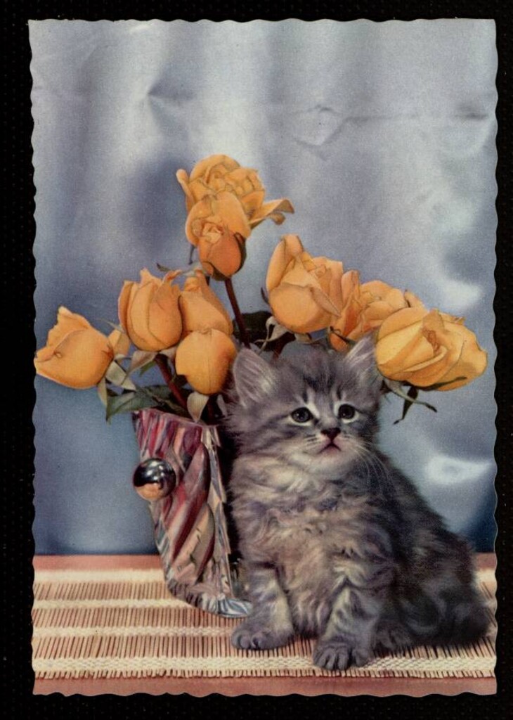Miniatura de Gato con ramo de rosas