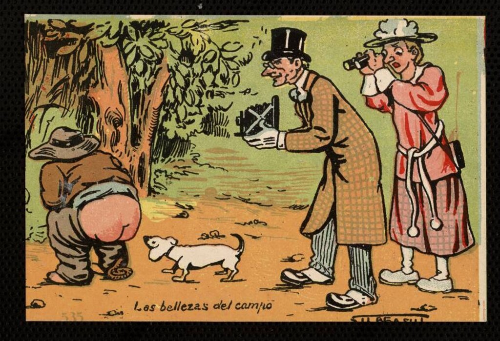 Miniatura de Las bellezas del campo