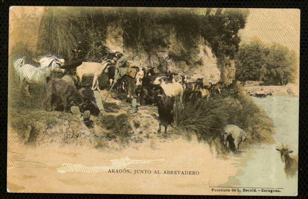 Miniatura de Aragón. Junto al abrevadero