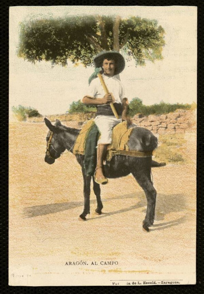 Miniatura de Aragón. Al campo