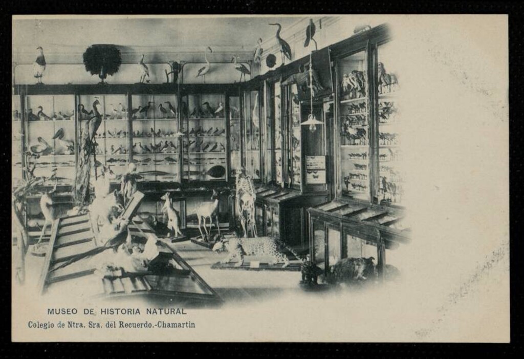Miniatura de Colegio de Nuestra Señora del Recuerdo. Museo de Historia Natural