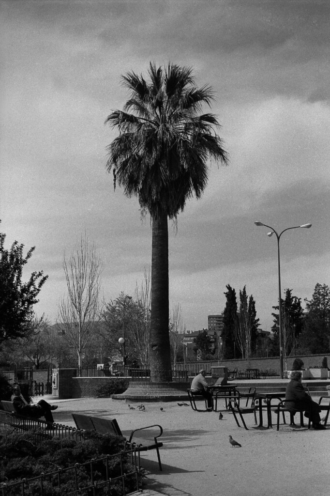 Miniatura de Parque