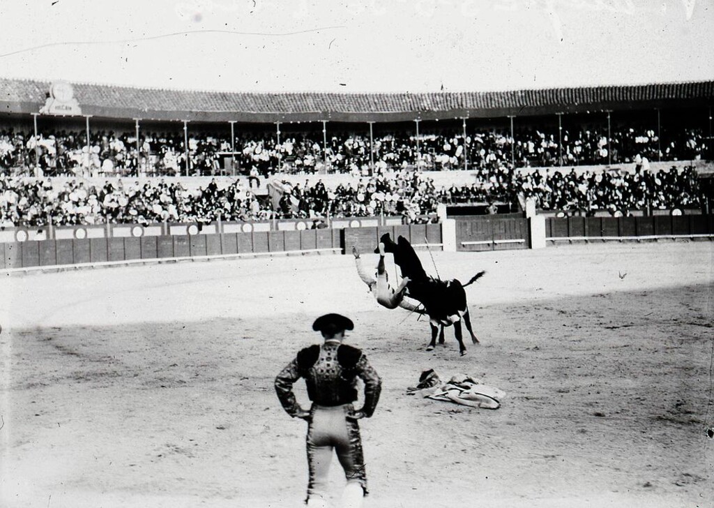 Miniatura de Cogida de un torero en la Plaza de Toros de Vista Alegre