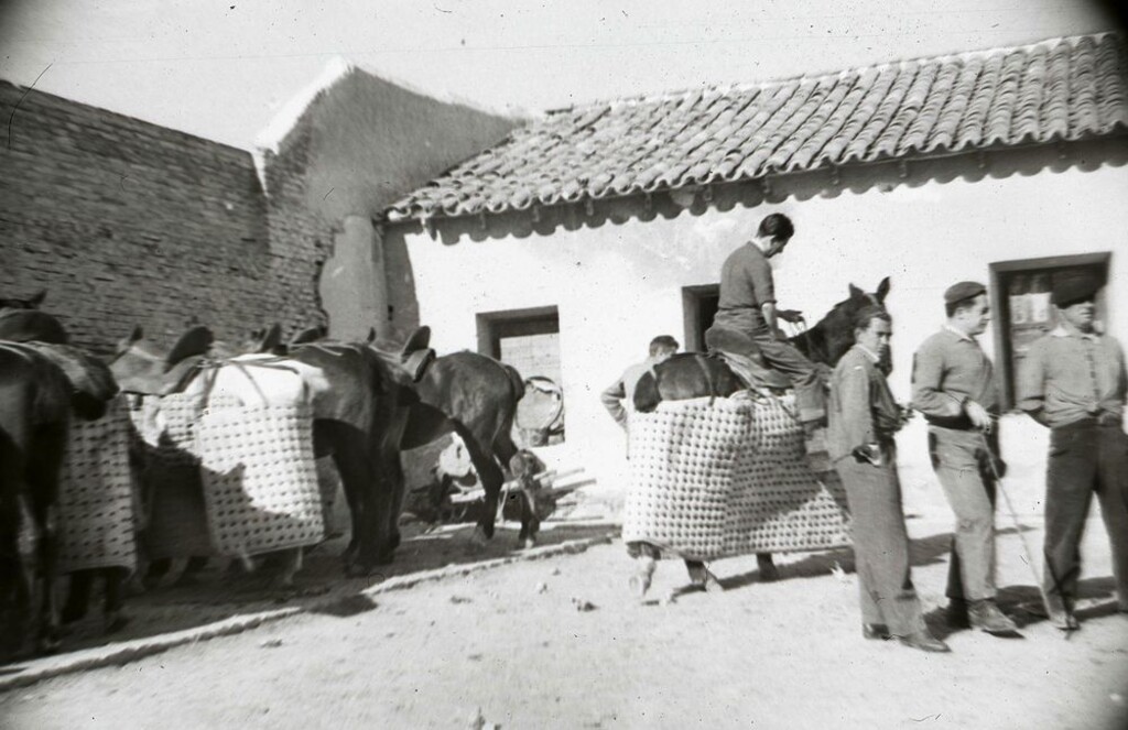Miniatura de Patio de caballos de la plaza de toros de Vista Alegre