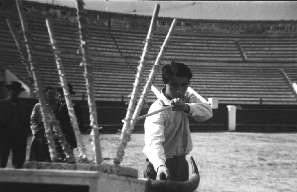 Miniatura de Escuela taurina Castilla en la Plaza de Toros de Vista Alegre