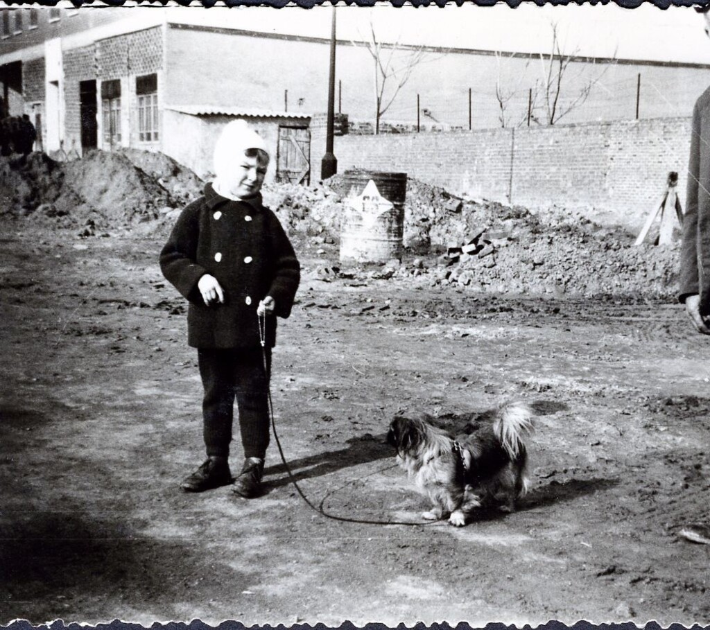 Miniatura de El hijo de la familia Arroyo paseando a su perro
