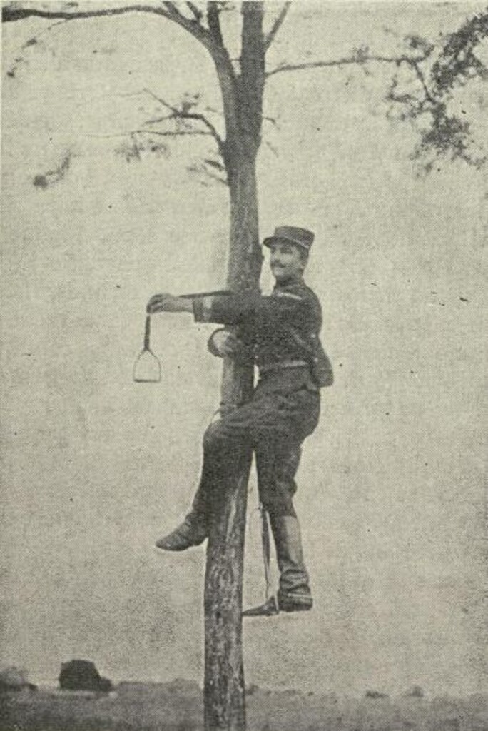 Miniatura de Vigilando la llegada del enemigo