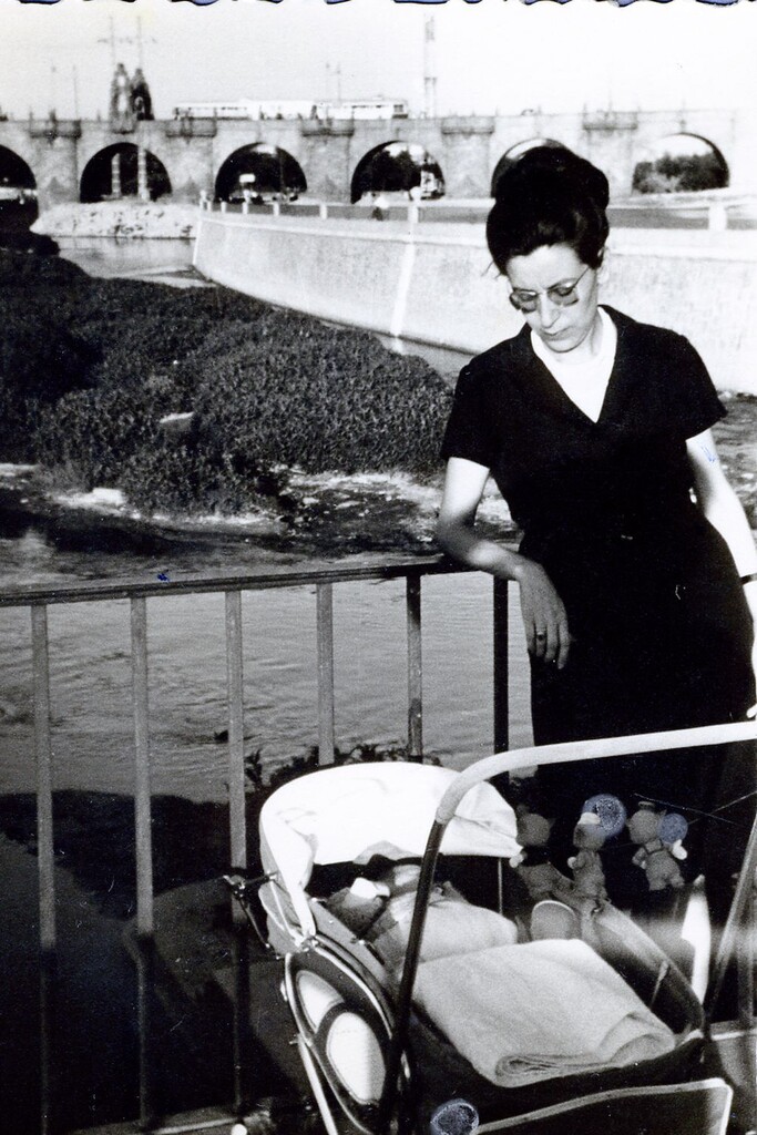 Miniatura de La familia Arroyo en la Ribera del río Manzanares