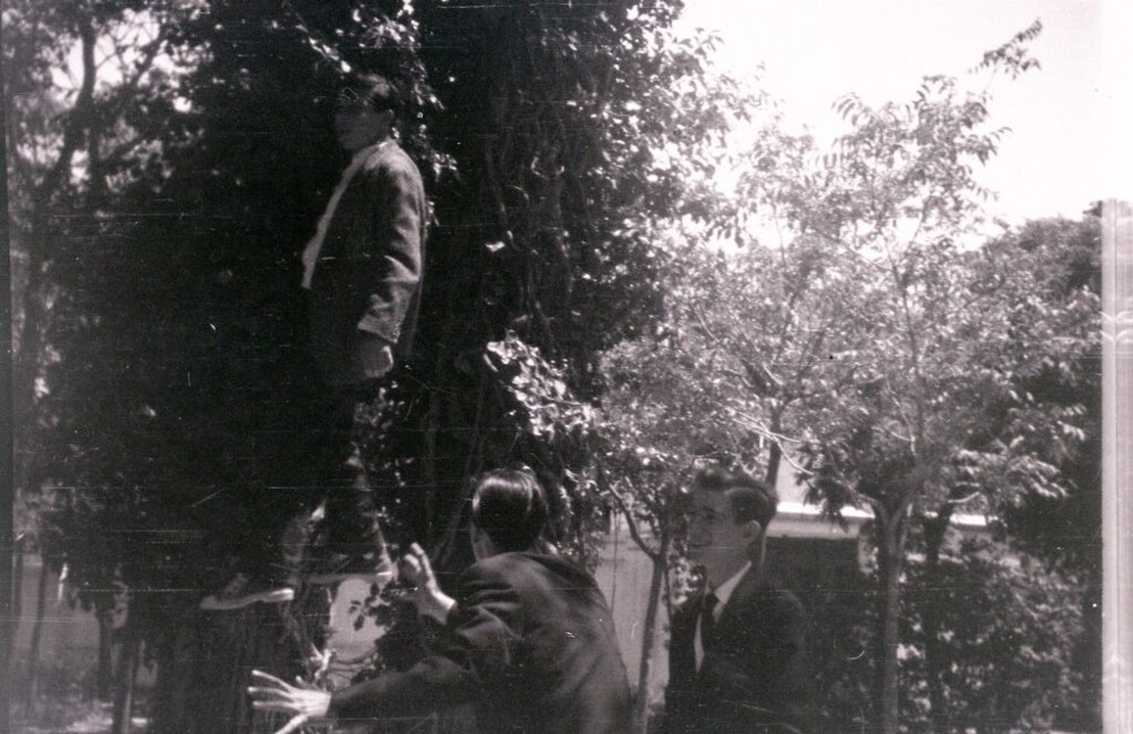 Miniatura de Jóvenes divirtiéndose en unos jardines de Carabanchel