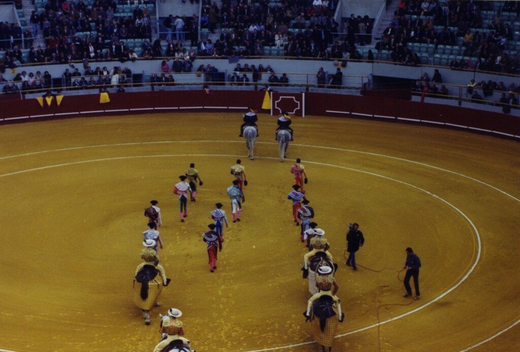 Miniatura de Paseillo en Vista Alegre
