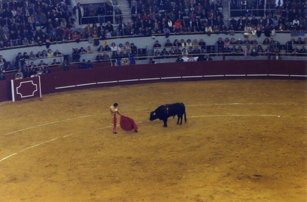 Miniatura de Enrique Ponce en Vista Alegre