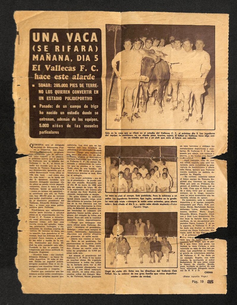 Miniatura de Rifa de una vaca del Vallecas Club de Fútbol