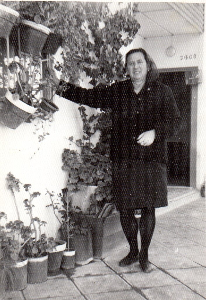 Miniatura de La señora Lucía en su casa