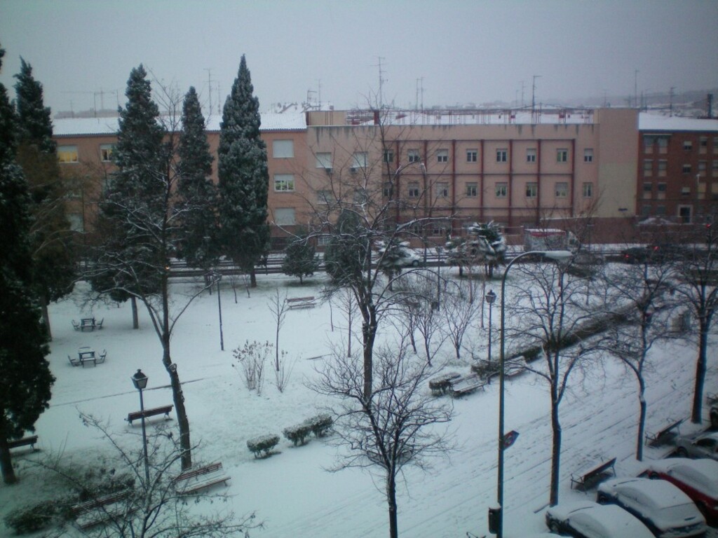 Miniatura de Vista nevada del Parque del Cementerio