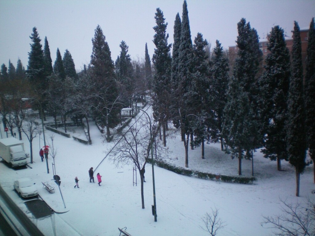 Miniatura de Vista nevada del Parque del Cementerio