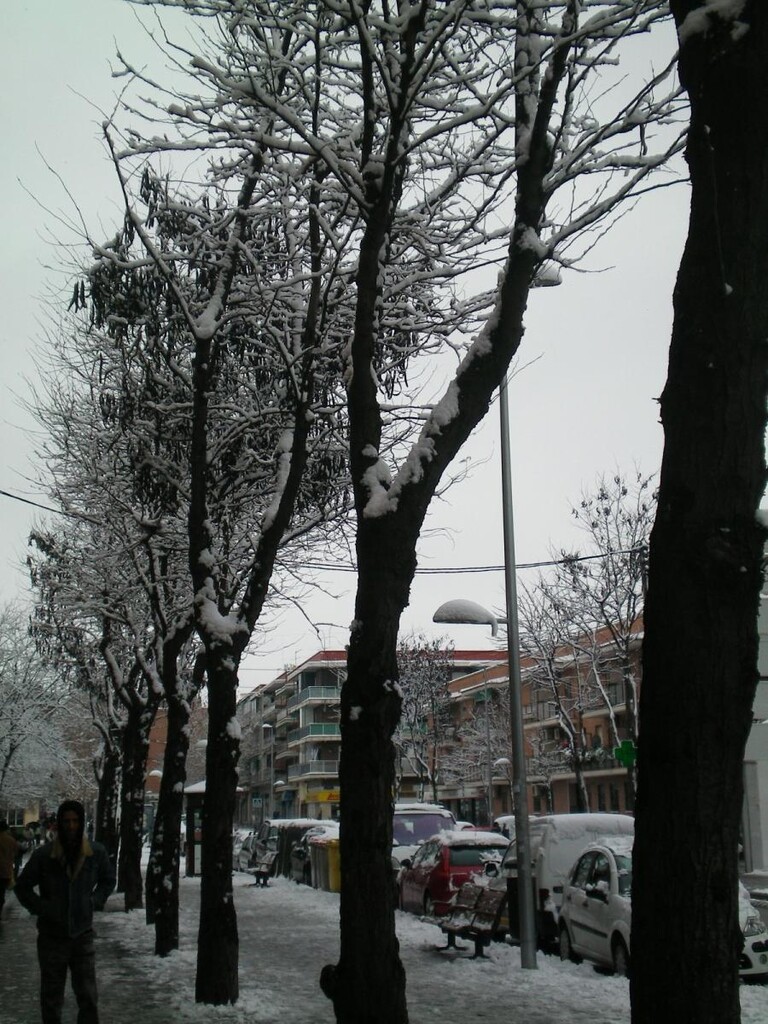 Miniatura de Calle Congosto nevada