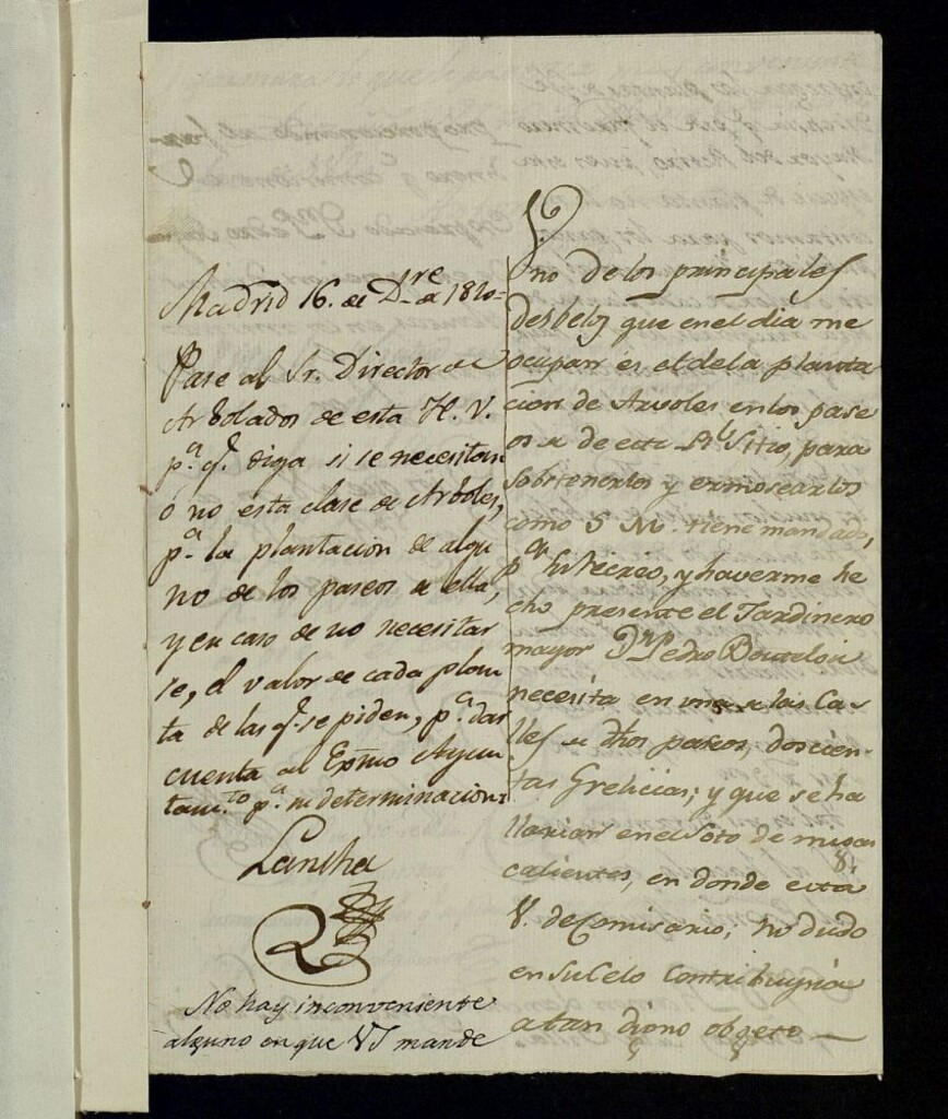Miniatura de Expediente sobre árboles para El Buen Retiro