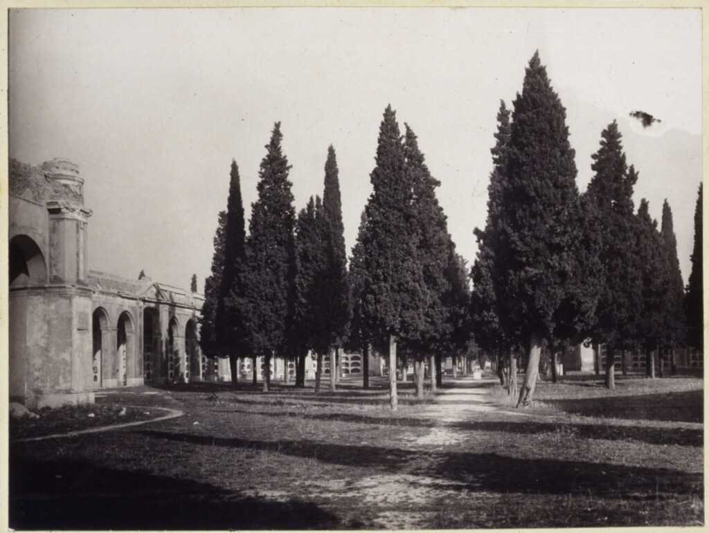 Miniatura de Antiguo cementerio de San Martín, San Ildefonso y San Marcos