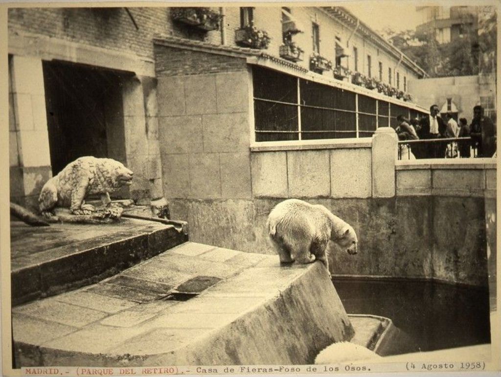 Miniatura de Foso de los osos en la Casa de Fieras